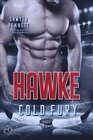 Buchcover Hawke (Carolina Cold Fury-Team Teil 5)