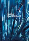 Buchcover Splitter. David Schnell