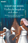 Buchcover Vielleicht begab es sich aber ...