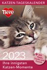 Buchcover Katzen Tageskalender 2023