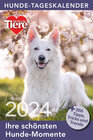 Buchcover Hunde Tageskalender 2024