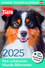 Buchcover Hunde Tageskalender 2025