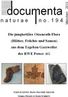 Buchcover Die jungtertiäre Otzenrath-Flora (Blätter, Früchte und Samen) aus dem Tagebau Garzweiler der RWE Power AG