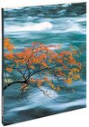 Buchcover Feng Shui