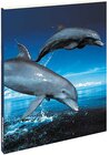 Buchcover Dolphins