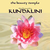 Buchcover The Beauty Temple