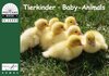 Buchcover Tierkinder /Baby-Animals
