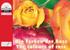 Buchcover Die Farben der Rose