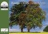 Buchcover Bäume /Trees /Des Arbres