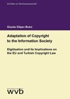 Buchcover Adaptation of Copyright to the Information Society