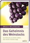 Buchcover Das Geheimnis des Weinstocks