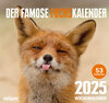 Buchcover Der famose Fuchskalender (2025)