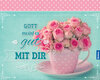 Buchcover Gott meint es gut mit dir