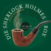 Buchcover Die Sherlock Holmes Box - grün