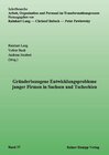 Buchcover Gründerbezogene Entwicklungsprobleme junger Firmen in Sachsen und Tschechien