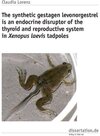 Buchcover The synthetic gestagen levonorgestrel is an endocrine disruptor of the thyroid and reproductive system in Xenopus laevis