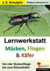 Buchcover Lernwerkstatt Mücken, Fliegen und Käfer