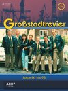 Buchcover Großstadtrevier - Box 5