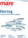 Buchcover mare - Die Zeitschrift der Meere / No. 135 / Hering