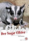 Buchcover Der Sugar Glider