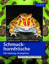 Buchcover Schmuckhornfrösche - Die Gattung Ceratophrys