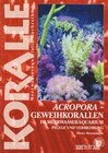 Buchcover Acropora - Geweihkorallen im Meerwasseraquarium
