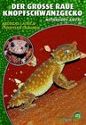 Buchcover Der Große Raue Knopfschwanzgecko
