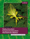 Buchcover Stabschrecken, Gespenstschrecken, Wandelnde Blätter