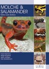 Buchcover Molche und Salamander
