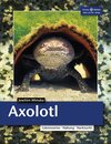 Buchcover Axolotl