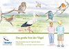 Buchcover Das große Fest der Vögel