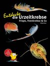 Buchcover Entdecke die Urzeitkrebse