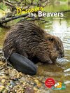 Buchcover Discover the Beavers