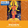 Buchcover Wirtschaftsmacht Indien