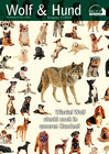 Buchcover Wolf Magazin: Wolf & Hund