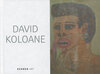 Buchcover David Koloane