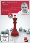 Buchcover Understanding Middlegame Strategies Vol. 7