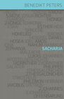 Buchcover Der Prophet Sacharja