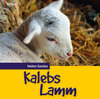 Buchcover Kalebs Lamm (Hörbuch)
