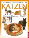 Buchcover Die grosse Enzyklopädie der Katzen