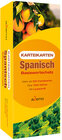 Buchcover Karteikarten Basiswortschatz Spanisch