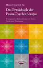 Buchcover Das Praxisbuch der Pranapsychotherapie