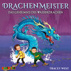 Buchcover Drachenmeister (3)