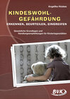 Buchcover Kindeswohlgefährdung erkennen, beurteilen, eingreifen