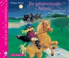 Buchcover Die geheimnisvolle Reiterin