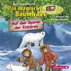 Buchcover Auf den Spuren der Eisbären (Das magische Baumhaus 12)