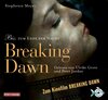 Buchcover Bella und Edward 4: Breaking Dawn - Biss zum Ende der Nacht