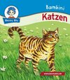 Buchcover Bambini Katzen
