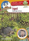Buchcover Benny Blu Igel