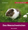 Buchcover Das Meerschweinchen